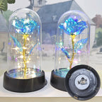 Eternal Rose Flower in Glass Cover Gift