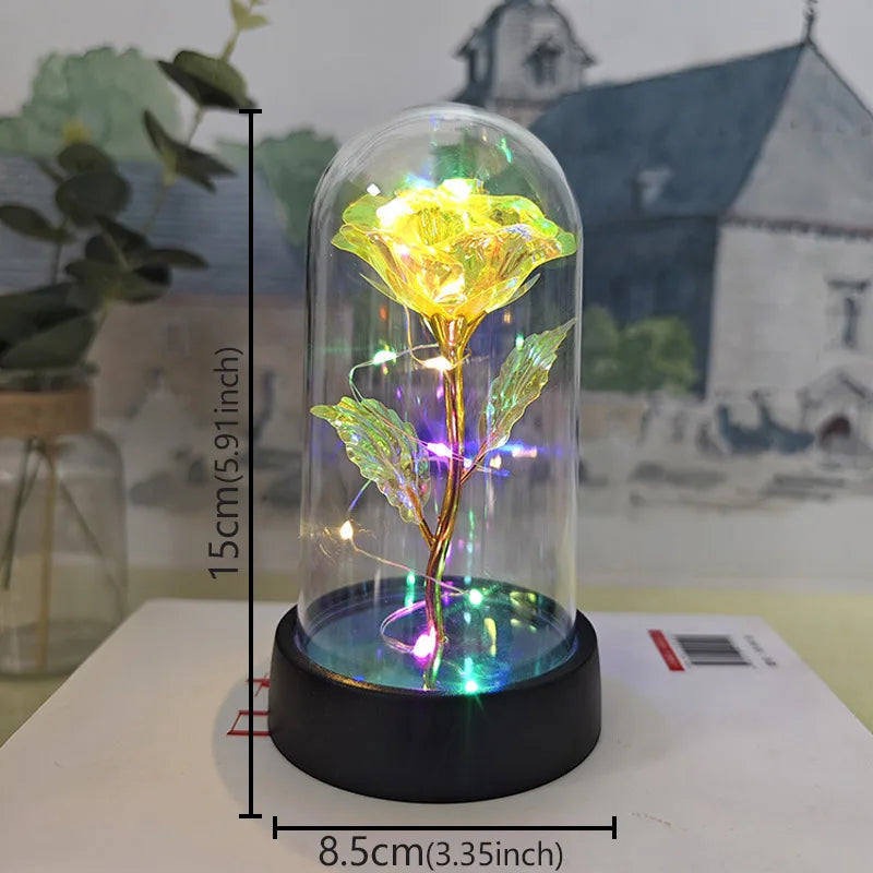 Eternal Rose Flower in Glass Cover Gift