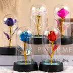 Eternal Rose Flower in Glass Cover Gift