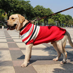 Knitted Reindeer Christmas Dog Jumper
