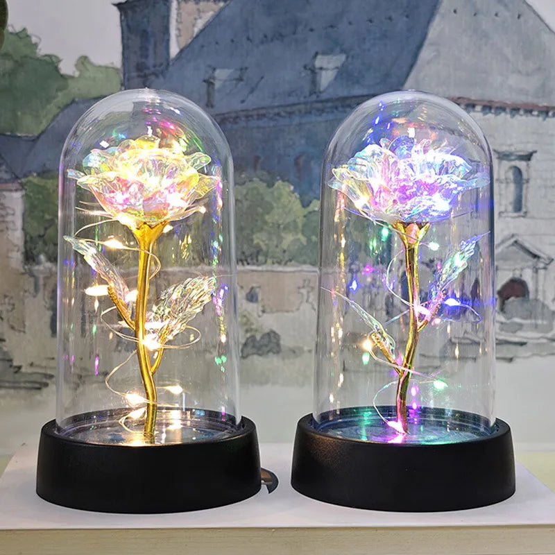 Eternal Rose Flower in Glass Cover Gift