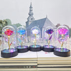 Eternal Rose Flower in Glass Cover Gift