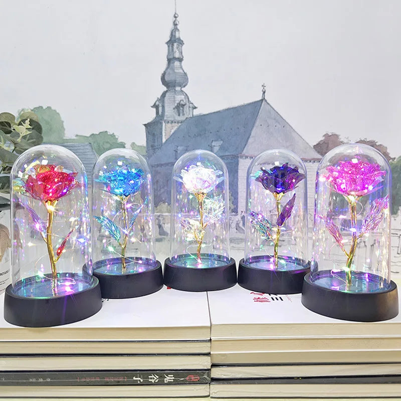Eternal Rose Flower in Glass Cover Gift