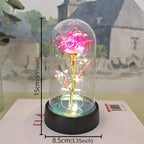 Eternal Rose Flower in Glass Cover Gift
