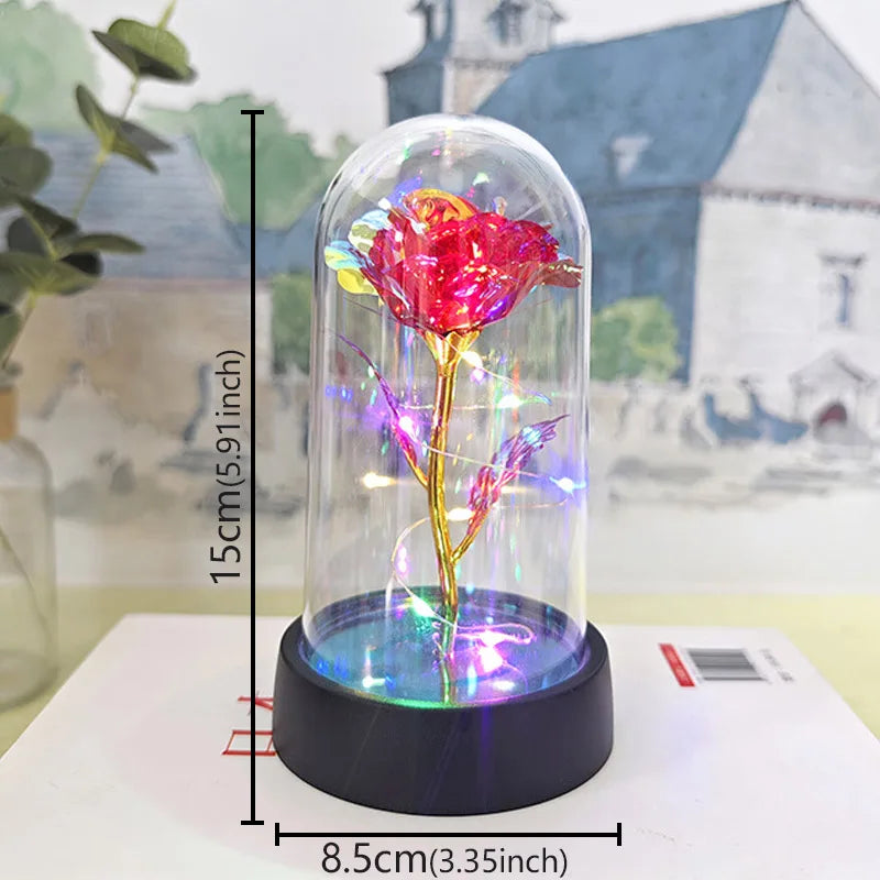 Eternal Rose Flower in Glass Cover Gift