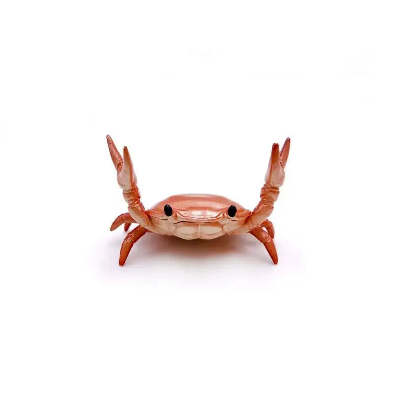 Funny Crab Pen Holder for Desks