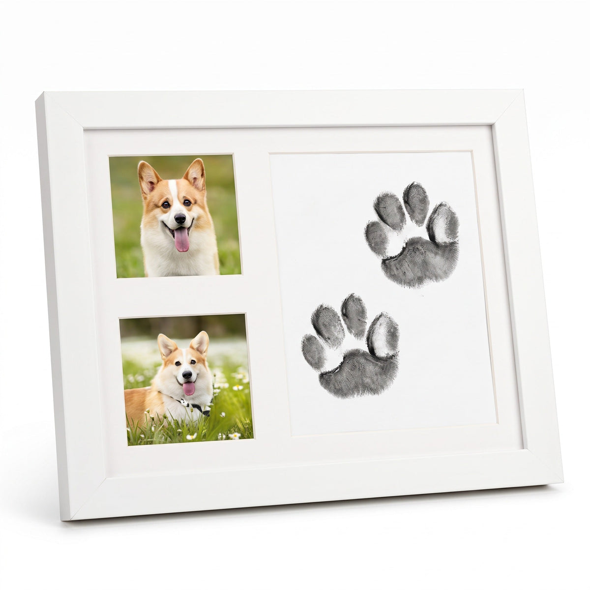 Pet Paw Print Memorial Kit with Photo Frame — beauty